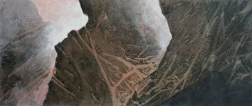 rossastro&nbsp;&nbsp; 2025&nbsp;&nbsp; Tusche &nbsp;&nbsp;&nbsp;&nbsp; 13,5 cm x 29,5 cm