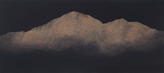 Acryllasuren auf Leinwand &nbsp;&nbsp;2010&nbsp;&nbsp; 90cm x 200cm