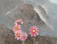 steinüberblüht &nbsp;&nbsp;Acryllasuren auf Leinwand &nbsp;&nbsp;2025&nbsp;&nbsp; 85cm x 109cm